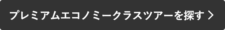プレミアムエコノミーツアーを探す