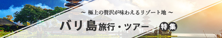 バリ島ツアー