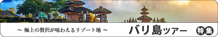バリツアー