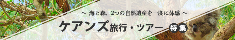 ケアンズツアー特集