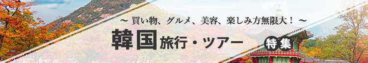 韓国特集
