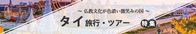 タイツアー