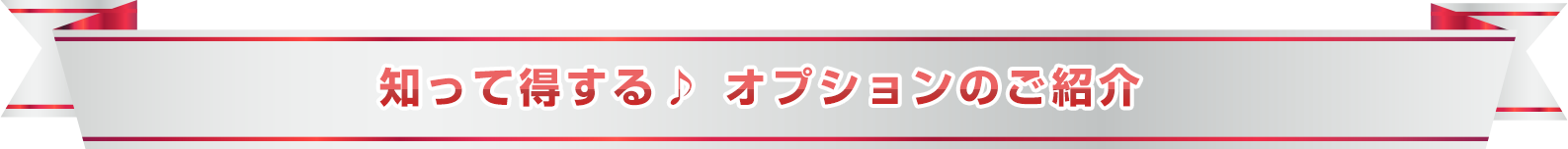 知って得する♪ オプションのご紹介