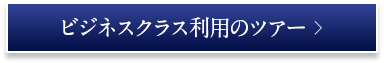 ビジネスクラス利用のツアー