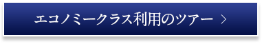 エコノミークラス利用のツアー