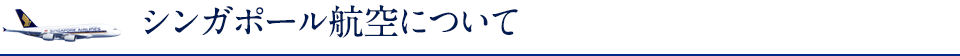 シンガポール航空について
