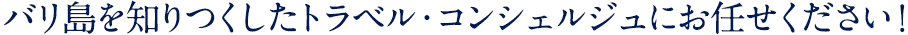 バリ島を知りつくしたトラベル・コンシェルジュにお任せください！