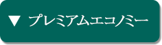 プレミアムエコノミークラス