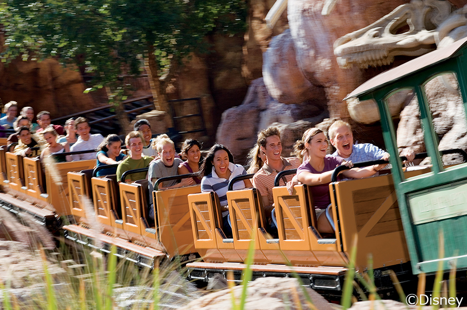 ディズニーランド・パークの写真