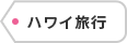 ハワイ旅行