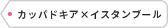 カッパドキア×イスタンブール
