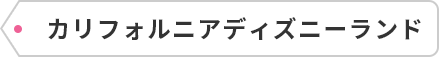 カリフォルニアディズニーランド