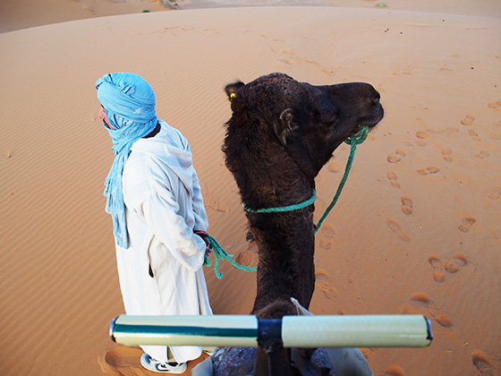 モロッコ　サハラ砂漠　ラクダ　10