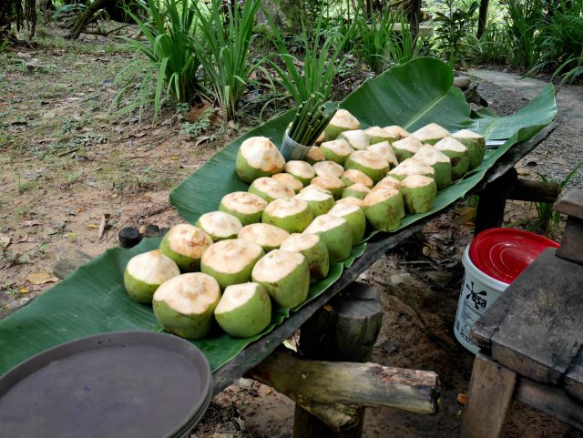 タイのクラビ温泉007