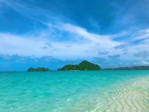 大自然に癒やされる！パラオでのおすすめの過ごし方