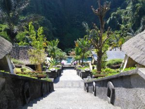 ウブドの熱帯林に佇むリトリートホテルバグースジャティでヘルス＆ウェルビーイングを体感！