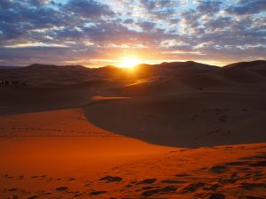 感動！サハラ砂漠でラクダ乗り&サンライズツアー体験！