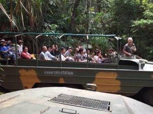 ケアンズでおすすめの穴場観光スポットとアクティビティ体験TOP3！