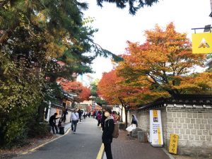 韓国の秋を感じながら歩く安国洞アングクドンの街歩き&食べ歩きリポート！
