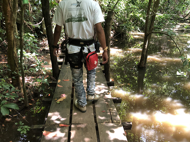 elnido_CanopyWalkway_004""