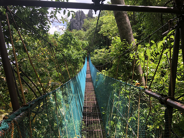 elnido_CanopyWalkway_006""