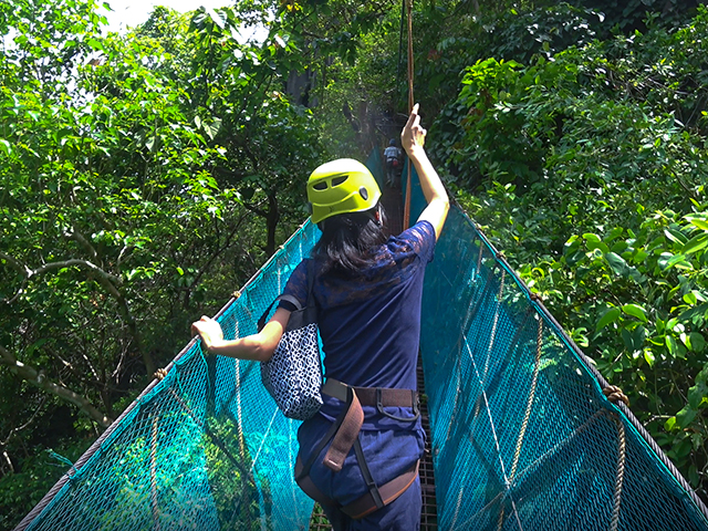 elnido_CanopyWalkway_007""