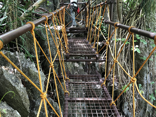 elnido_CanopyWalkway_008""