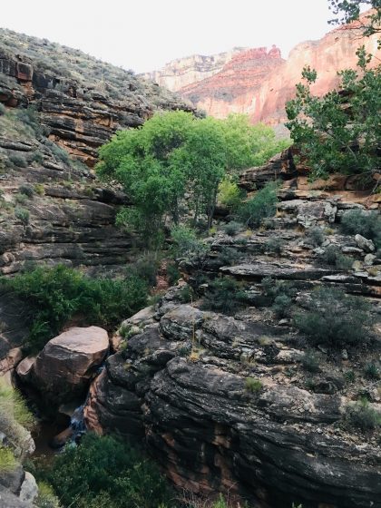 America_South_Kaibab_Trail_Head_010""