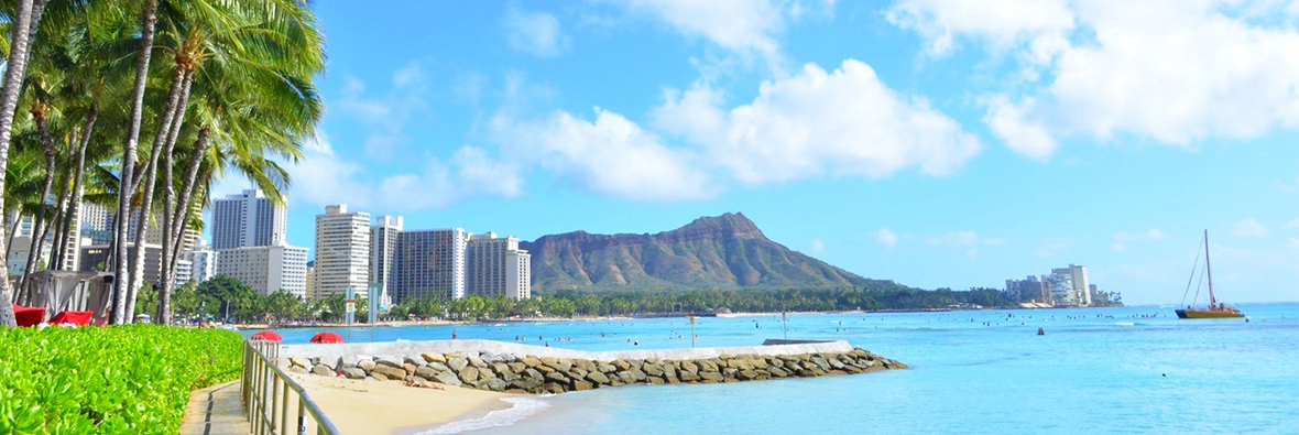 ハワイ旅会イメージ画像