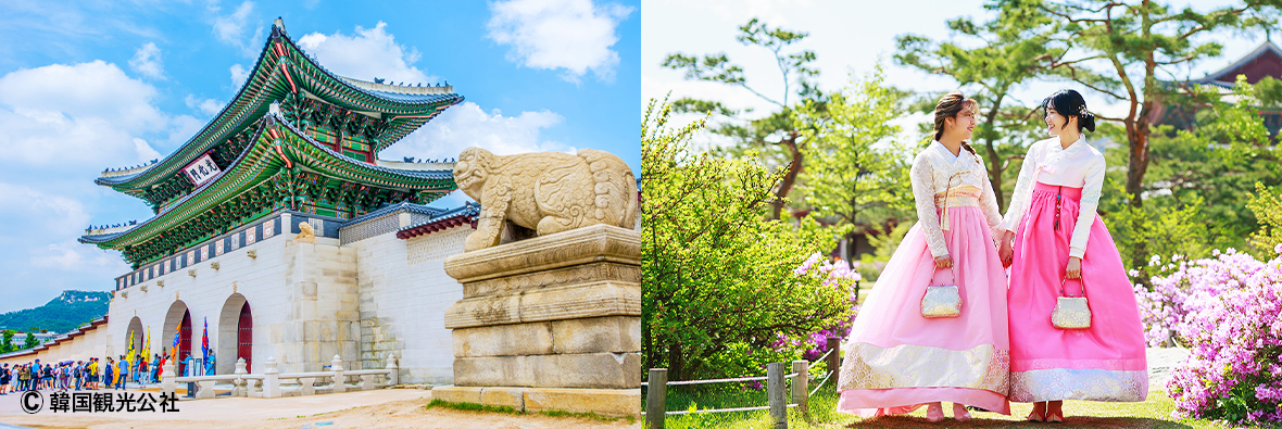 韓国旅会イメージ画像