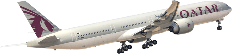 カタール航空機影